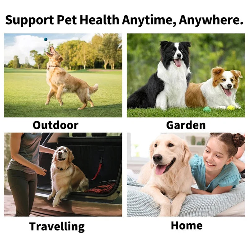 Disposable Pet Finger Tooth Wipes